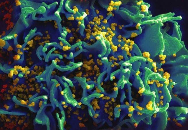Microbiología y Parasitología